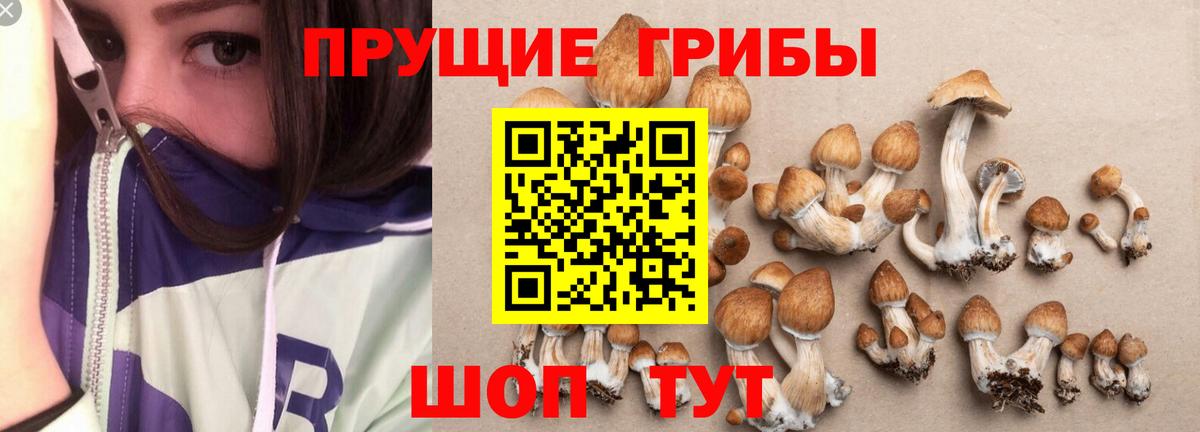 Галлюциногенные грибы мухоморы  Вход с VPN  Галлюциногенные грибы Magic Shrooms  Кувандык 