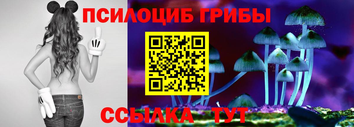 Галлюциногенные грибы прущие грибы Кувандык